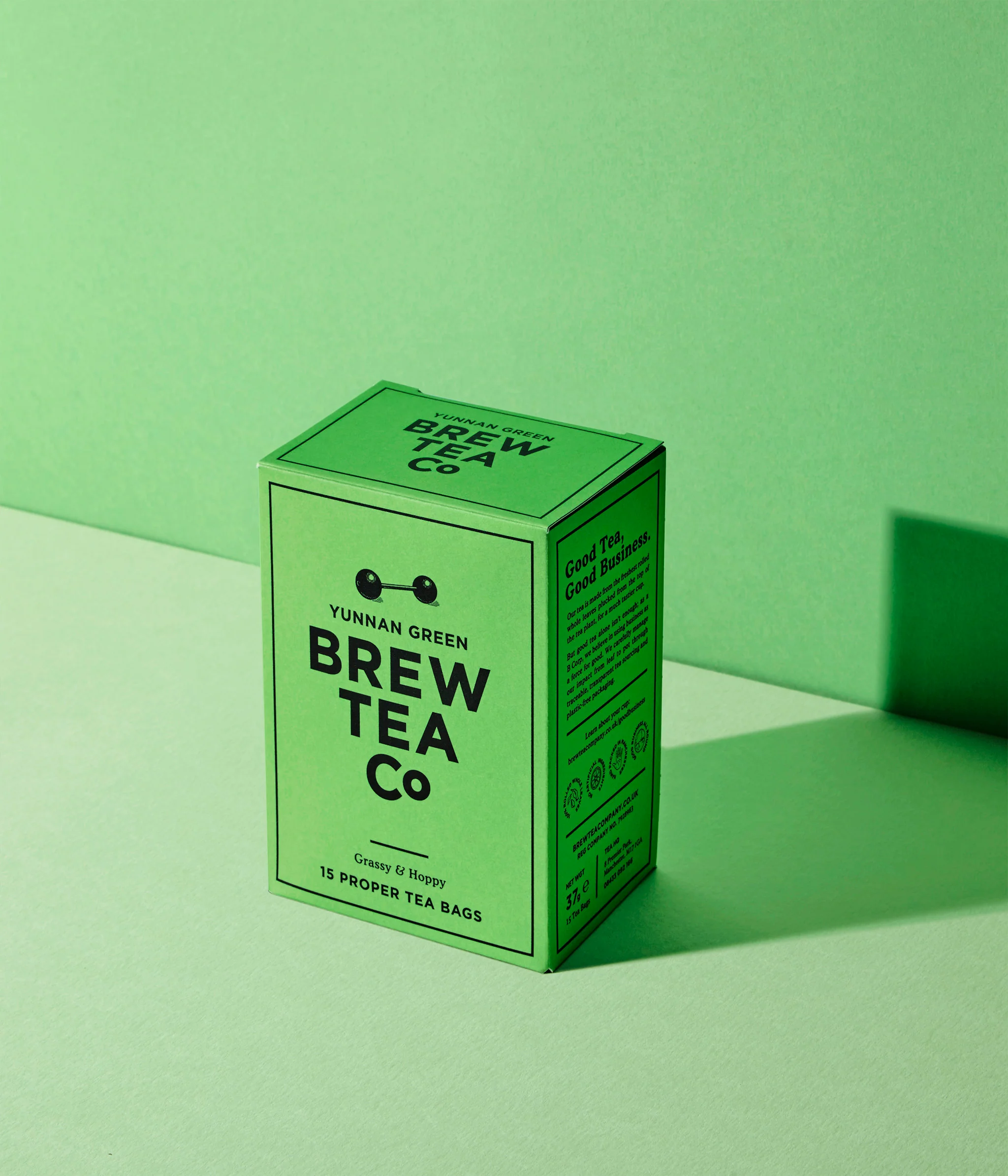 Yunnan Green Tea - Image 7